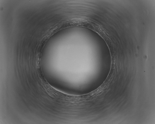 X0000081480868200701121039