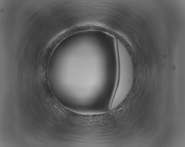 X0000081480872200701121039