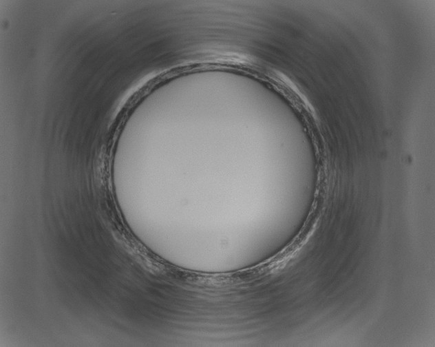 X0000081480875200701121039
