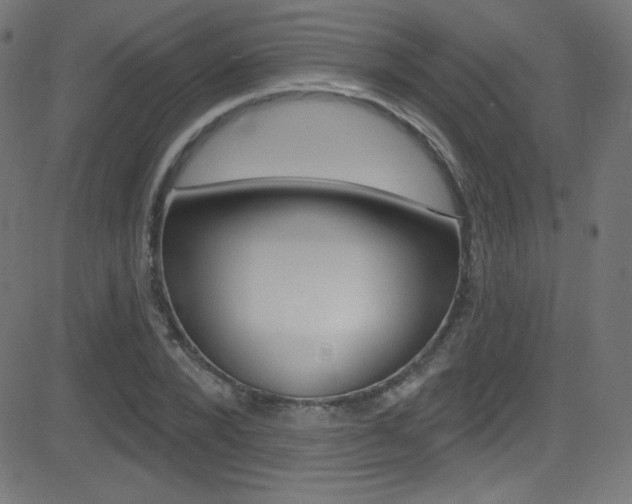 X0000081480880200701121038