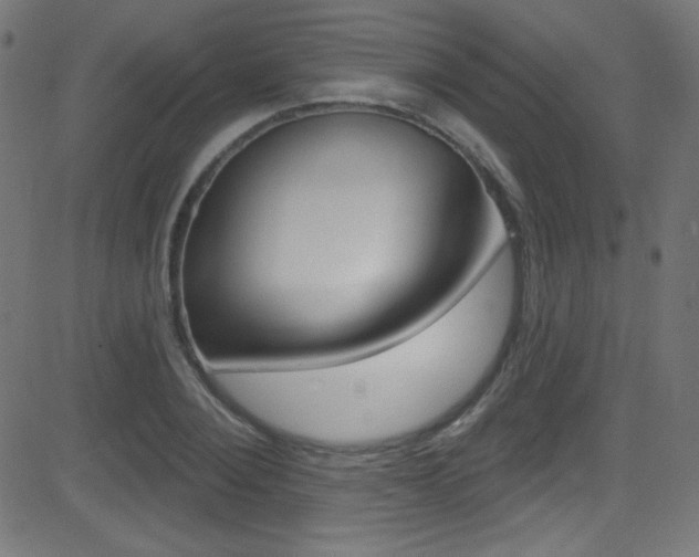 X0000081480884200701121038