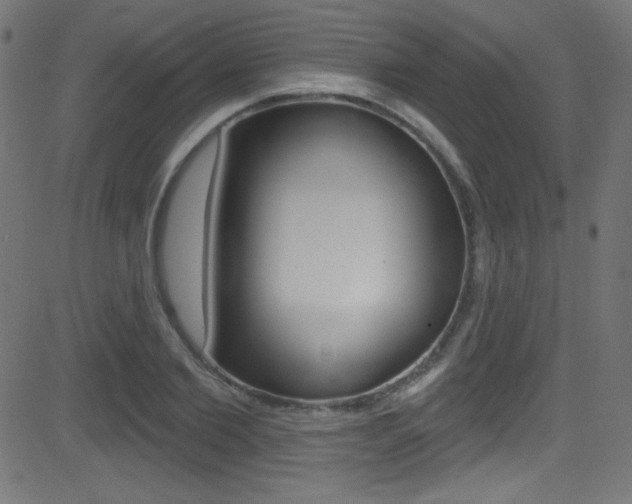 X0000081480885200701121038