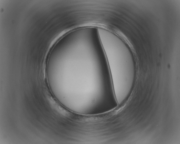 X0000081480892200701121038