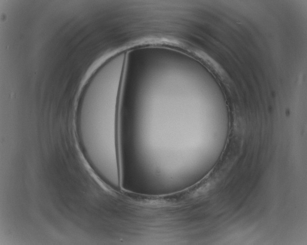 X0000081480894200701121038