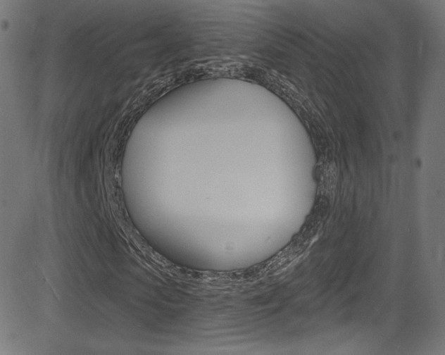 X0000081480913200701121037