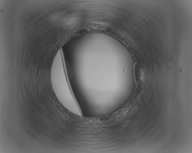 X0000081480915200701121037