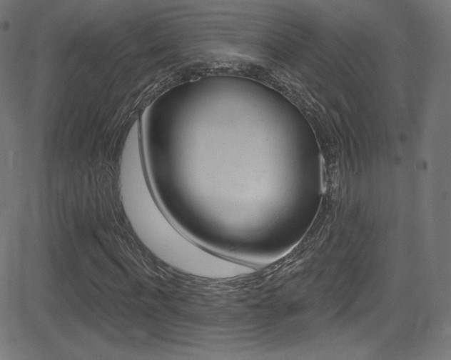 X0000081480916200701121037