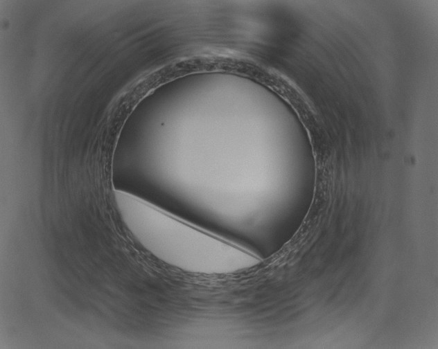 X0000081480919200701121037