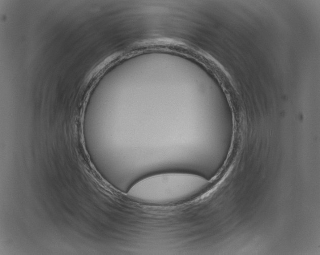 X0000081480921200701121037