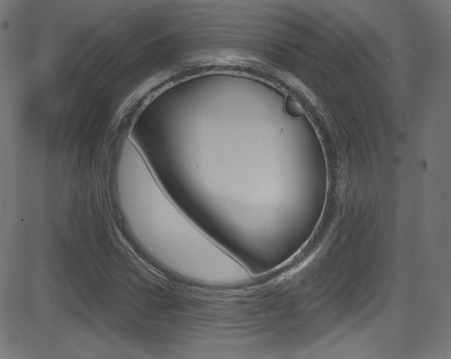 X0000081480922200701121037