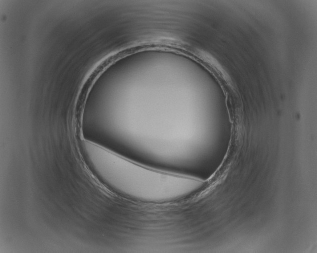 X0000081480924200701121037