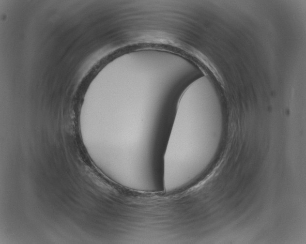 X0000081480926200701121037