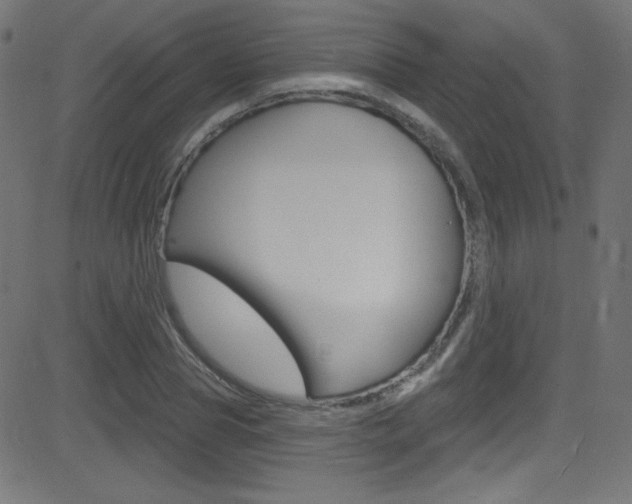 X0000081480929200701121037