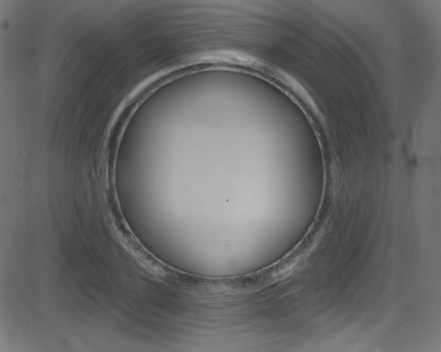 X0000081480931200701121037