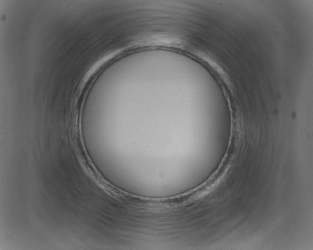 X0000081480933200701121037
