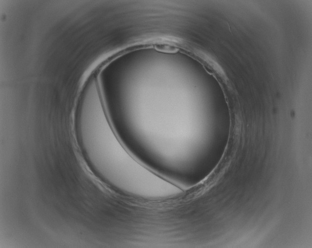 X0000081480936200701121037