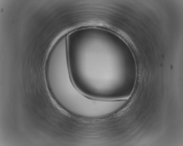 X0000081480942200701121038