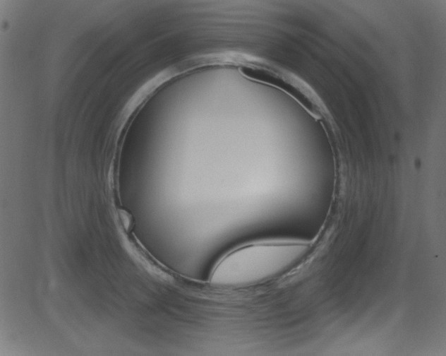 X0000081480946200701121038