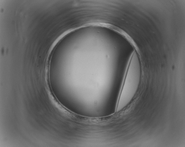 X0000081480955200701121038