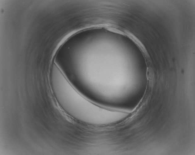 X0000081480956200701121038