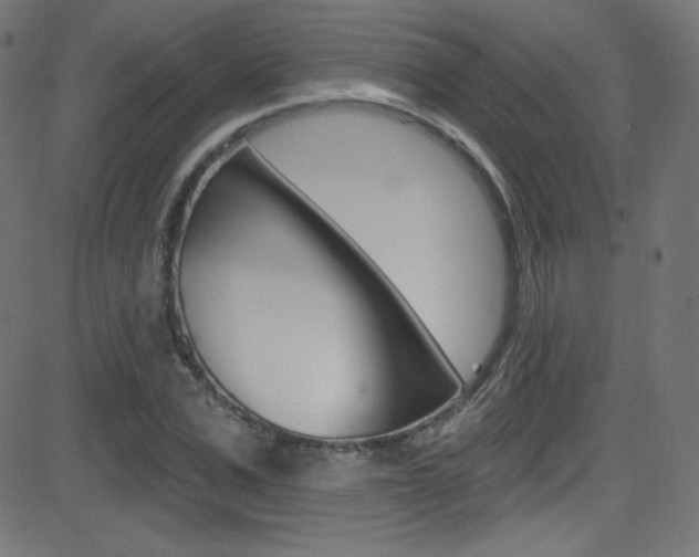 X0000081480975200701121037