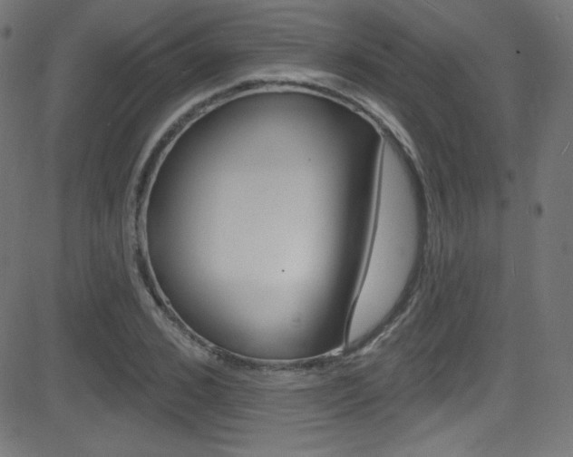X0000081480976200701121037