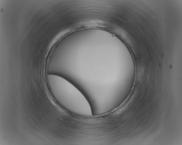 X0000081480986200701121037