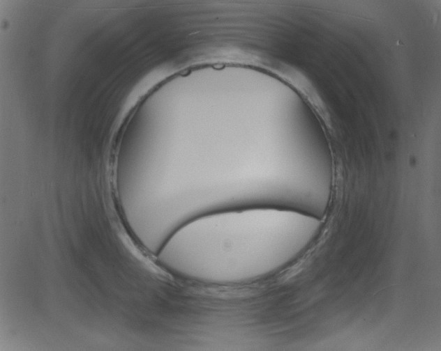 X0000081480998200701121036