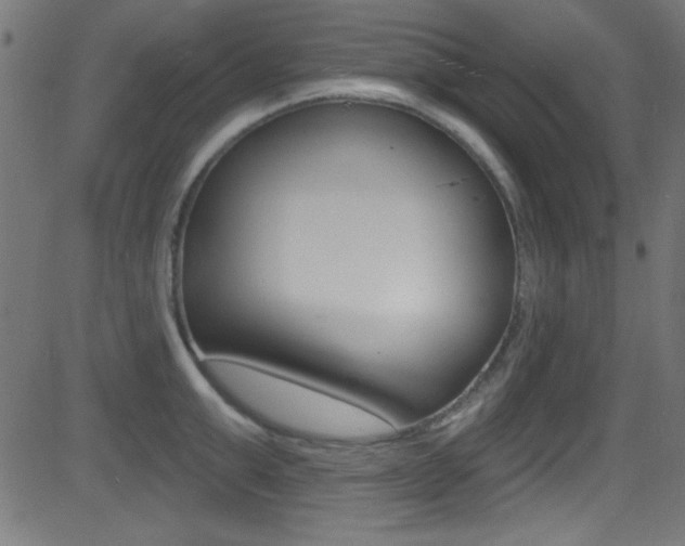X0000081480999200701121036