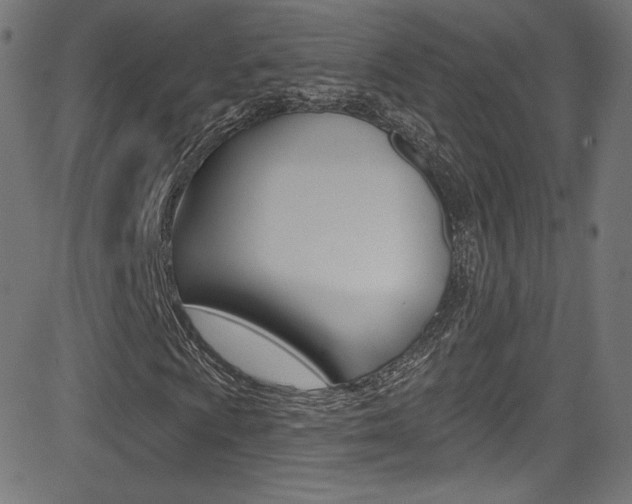 X0000081481009200701121035