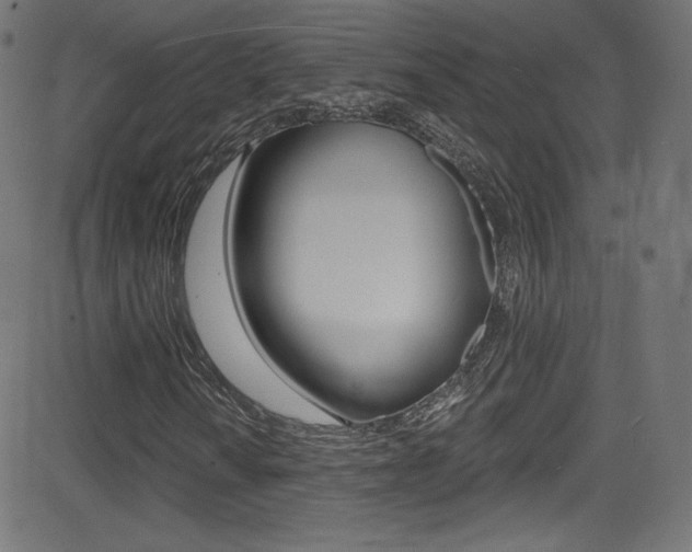 X0000081481010200701121035