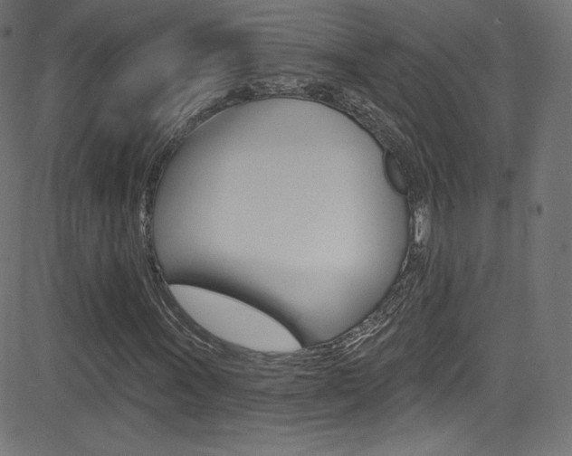 X0000081481011200701121035
