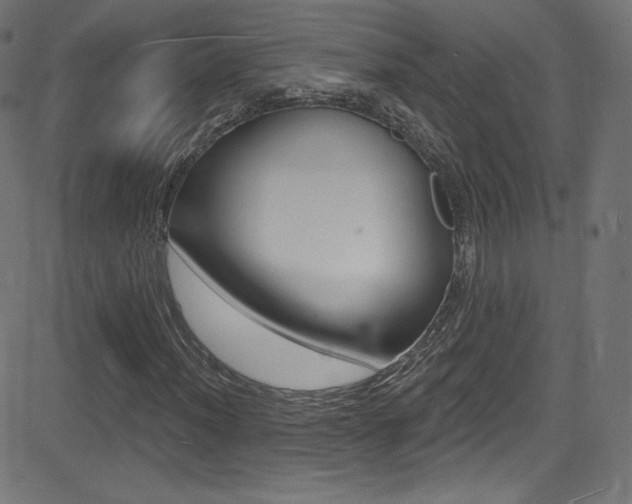 X0000081481012200701121035