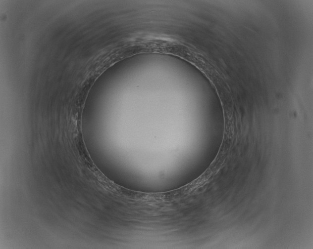 X0000081481013200701121035