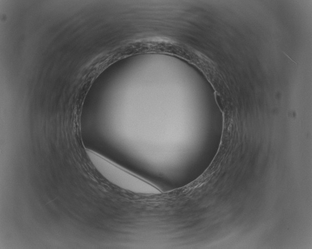 X0000081481014200701121035
