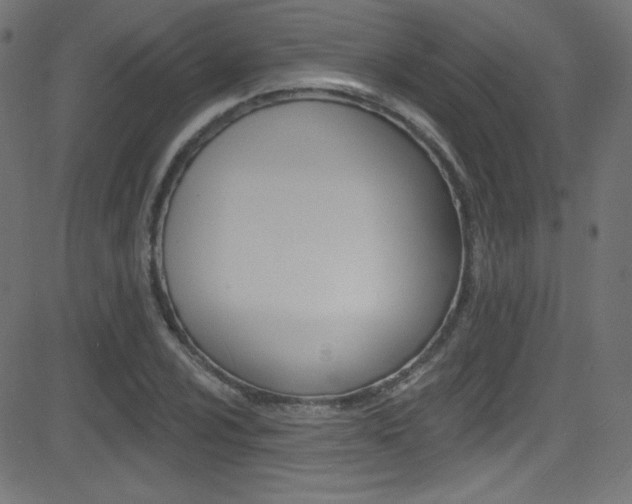 X0000081481024200701121036