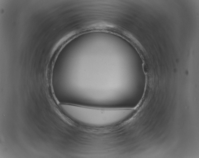 X0000081481026200701121036