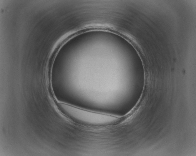 X0000081481030200701121036