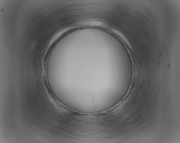X0000081481031200701121036