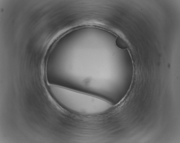 X0000081481032200701121036