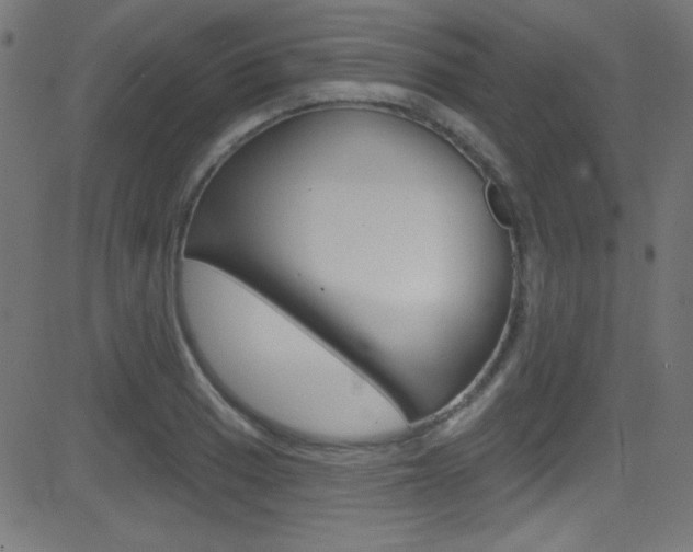 X0000081481033200701121036