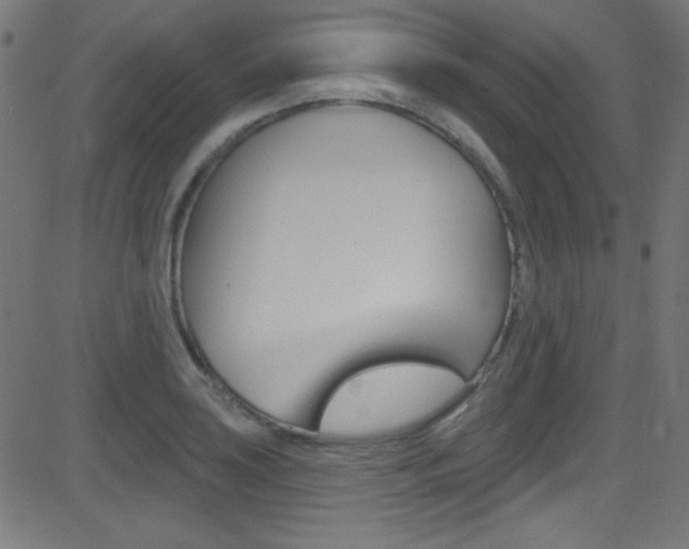 X0000081481035200701121036