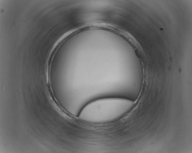 X0000081481036200701121036