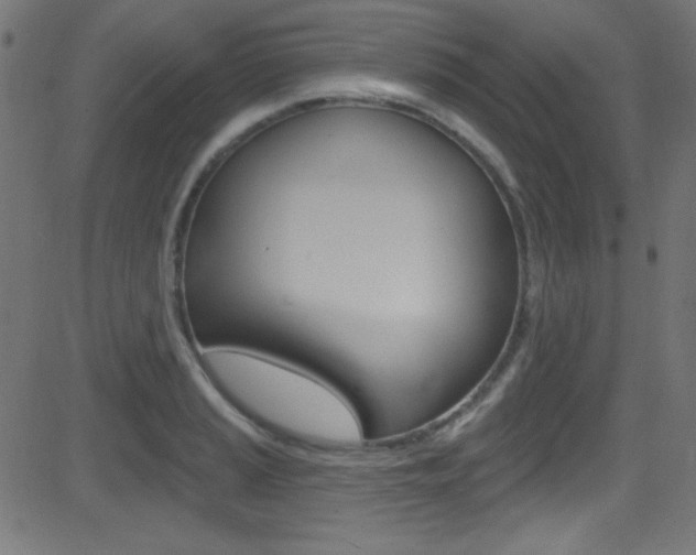 X0000081481037200701121036