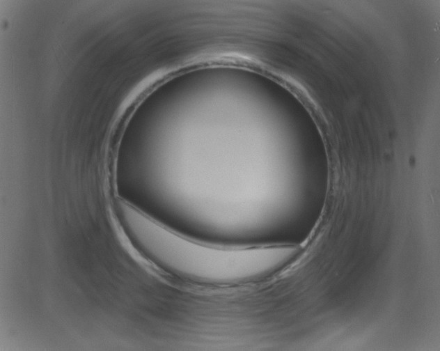X0000081481038200701121036