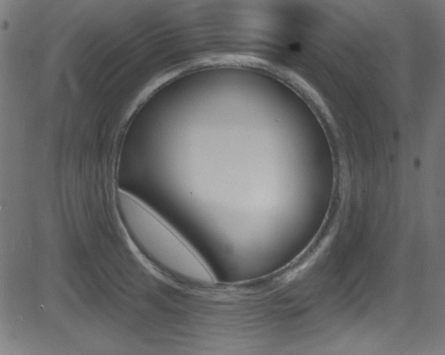 X0000081481041200701121036