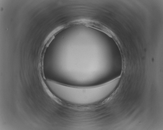 X0000081481042200701121036