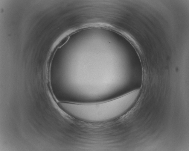 X0000081481046200701121036