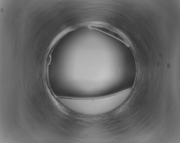X0000081481050200701121036