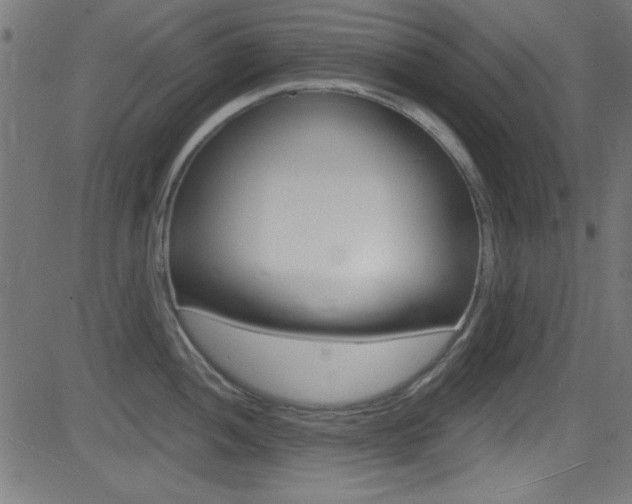 X0000081481052200701121036